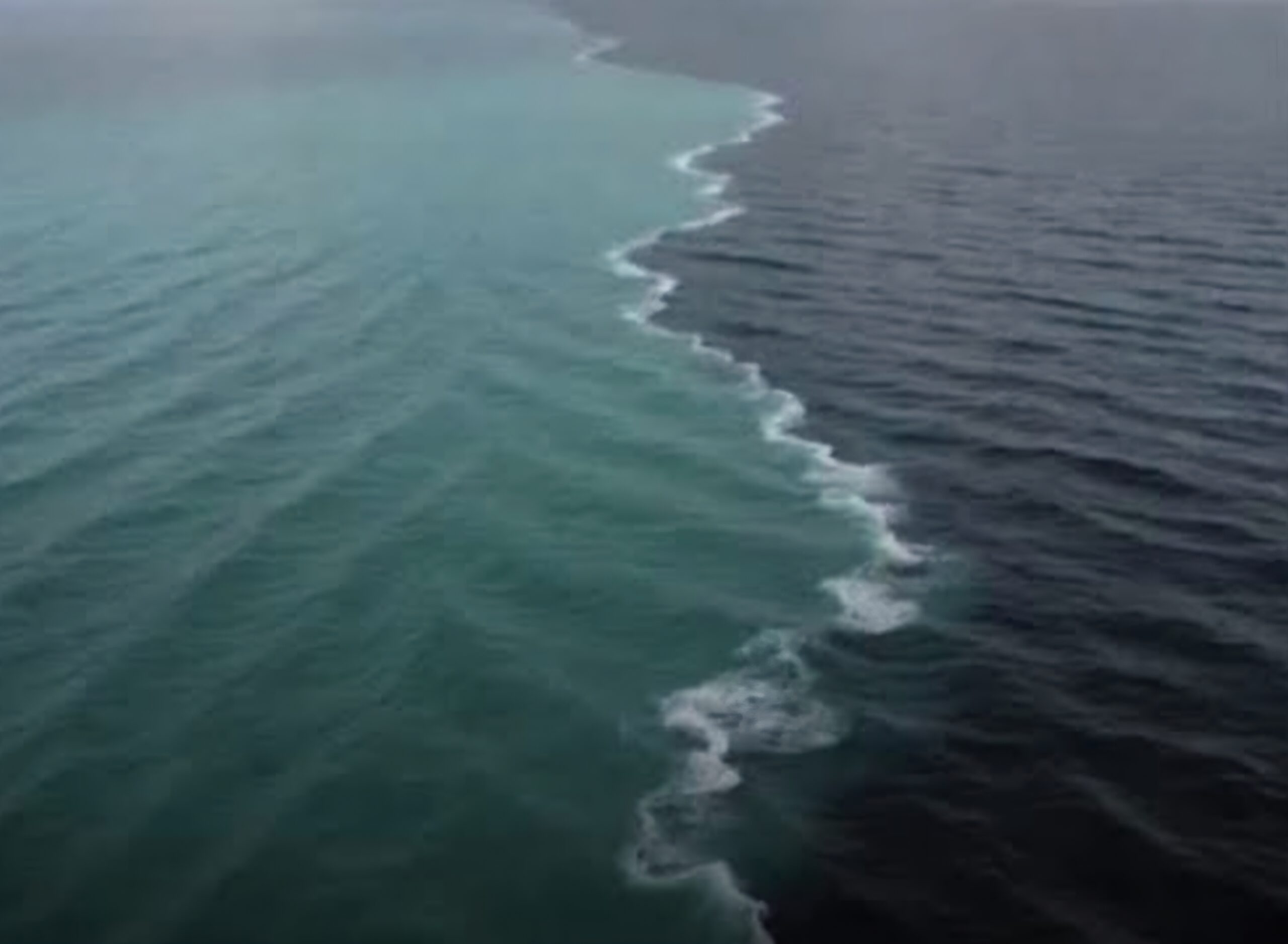 Screenshot 20260202 205122 Google Scaled