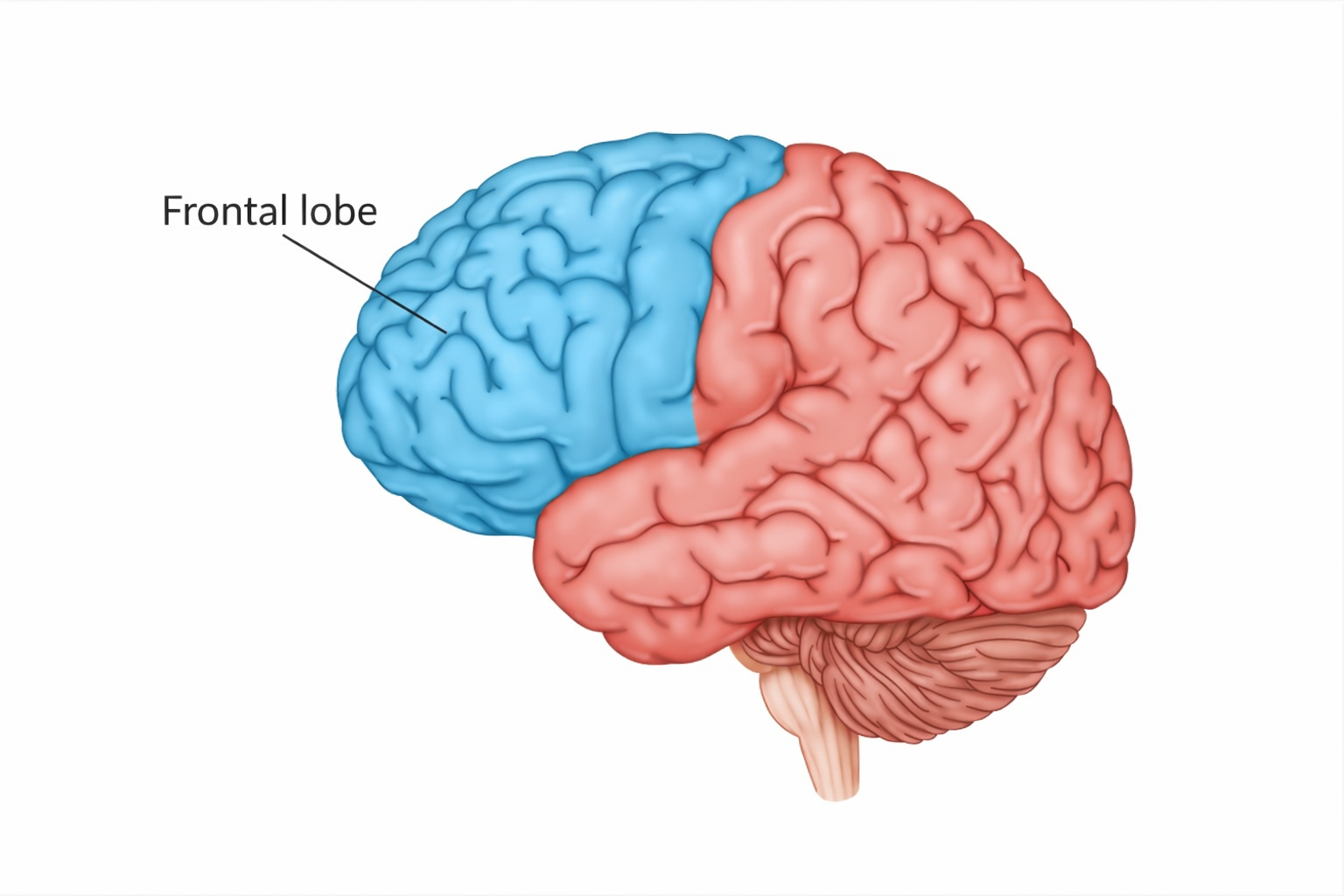 file 0000000003607208b21f7552a37b18ec.png